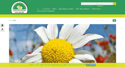 Desktop Screenshot of consorziorsu.al.it